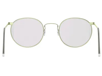 Ful Vue Glasses 3D model