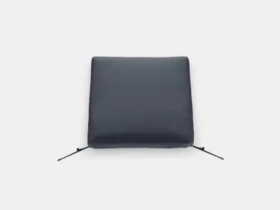 FROSON Cover for chair cushion 2 Low-poly 3D model