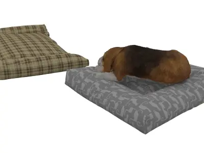 Beagle Dog Bed 3D model