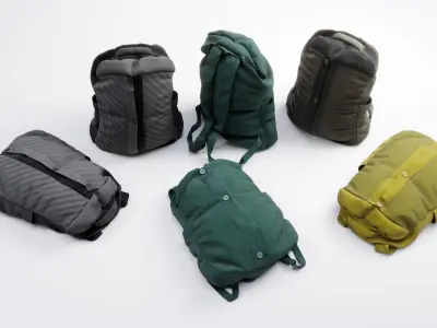 Backpack two backpacks 3D model