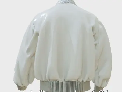Contemporary Fashion Digital Jacket Model Low-poly 3D model