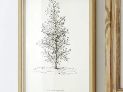 Gallery Wall 119 3D model