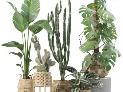 20 Photorealistic Flowers for Interiors - set 210 211 212 213 3D Model Collection