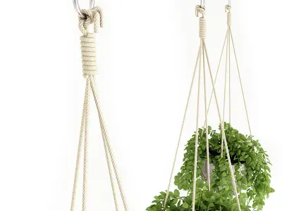 Plants Set hanging on shelf 3D model