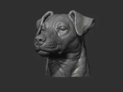 Jack Russell Terrier bust 3D print model