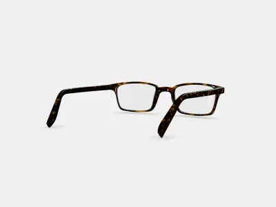 Langhorne Eyeglasses in Whiskey Tortoise 3D model