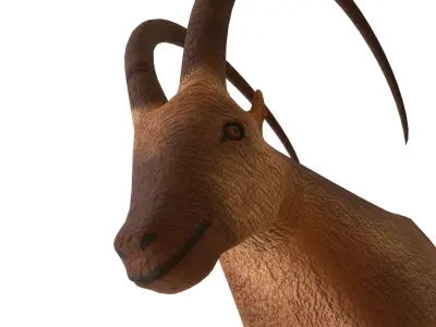 IBEX- GOAT  3D model