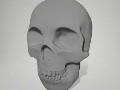 Skull 11 3D print model