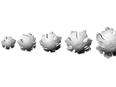 ginkgo leaf texture pendant 3D print model