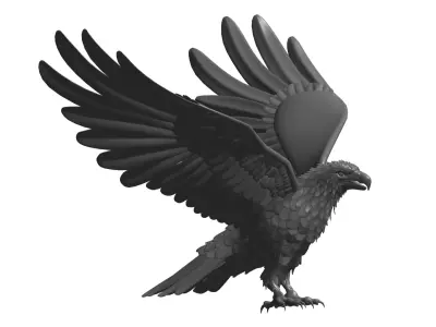  Eagle 3D model