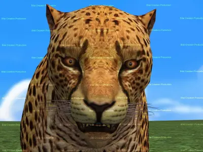 Cheetah Rigged Animated 8 Low-poly 3D model
