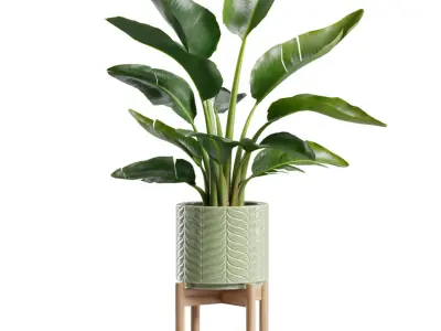 Indoor Plants Pack 83 3D model