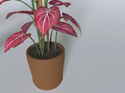 Pot Tropical Plant 2 Low-poly 3D model