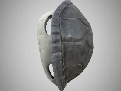 Turtle dirt gray shell Mock-up 3d Model 3D model
