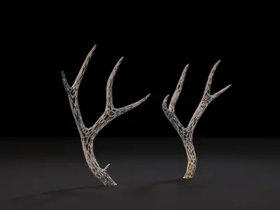 Deer horns 3D print model