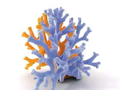 Golden Coral Reef model pack Low-poly 3D model