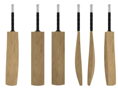 Cricket Bat 3D model buy