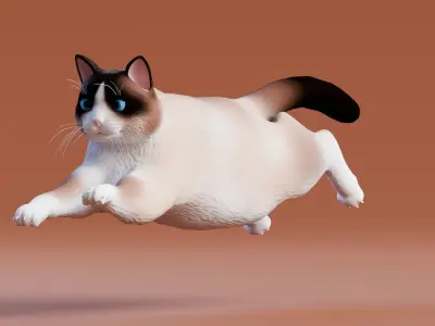 Low poly - Stylized cats - Snowshoe Cat Low-poly 3D model