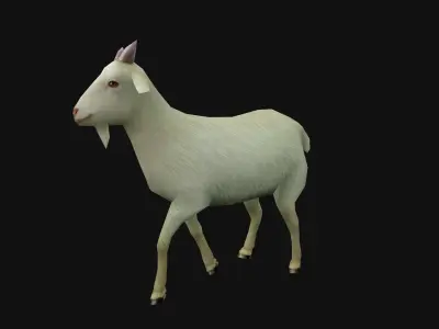 animated goat sheep Low-poly 3D model