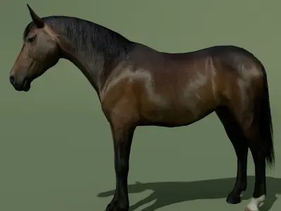 LowPoly Horses 10 colours Low-poly 3D model