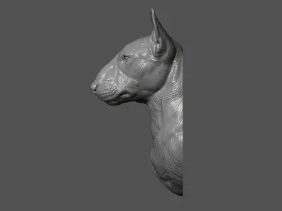 Bull Terrier bust 3D print model