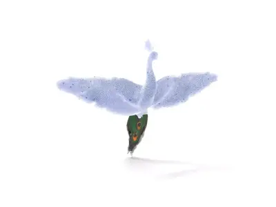 Vibrant Peacock model pack Low-poly 3D model