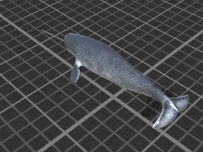 Narwhal Low-poly 3D model