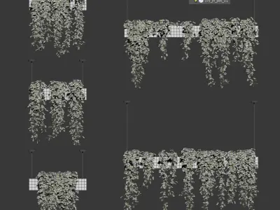 Ivy in hanging flower pots - 5 models 3D model