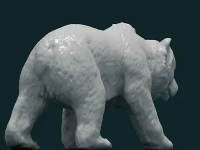 3D Bear polar 3D model