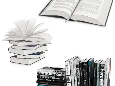 Open Books Set 3D model