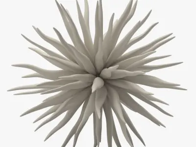 Decoration 08 Sea Urchin Free 3D model