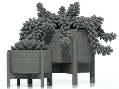 Plants collection 68 Modernica pots 3D model