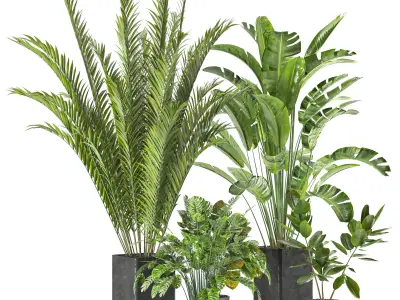 Collaction Indoor plant vol 45-02 3D model
