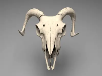 Ram Skull 3D model with six texture maps 3D model