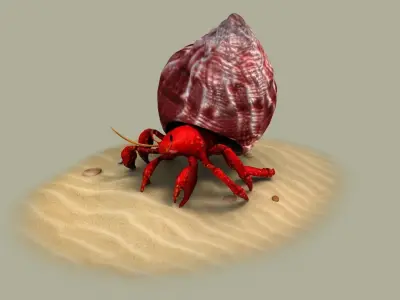 Fiddler crab sea crab shell crab 3D model