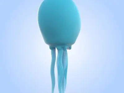 Jellyfish 3D model