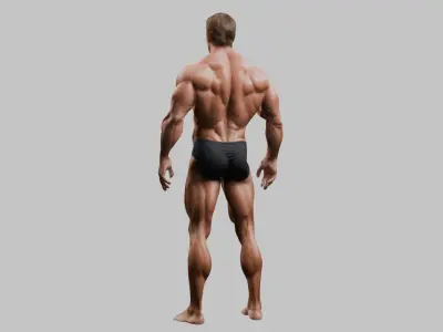 3D Bodybuilder Sculpture - Anatomy Model Low-poly 3D model