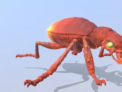 Beetle Bug Eating Fbx Png 3D model