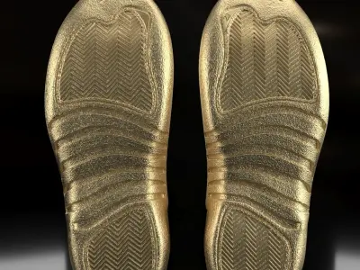 Air Jordan 12 Retro  3D print model