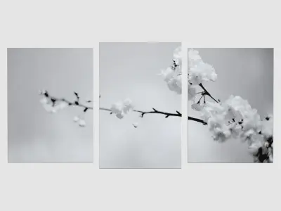 Sakura Wallpaper Decoration 3D model