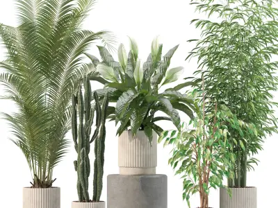 20 Photorealistic Flowers for Interiors - set 205 209 218 219 3D Model Collection