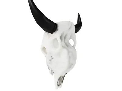 Bull Skull 3D model