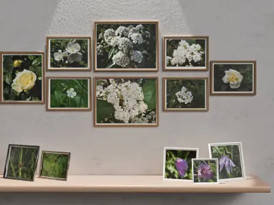 Wall Photo Frame Set with Nature Photography 3D model