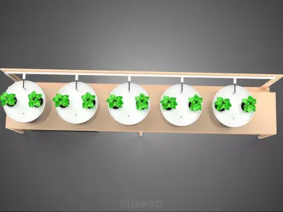 HYDROPONIC GROWTH PLANT FARMING BUCKET DUTCH BATO SYSTEM GARDEN 3D model