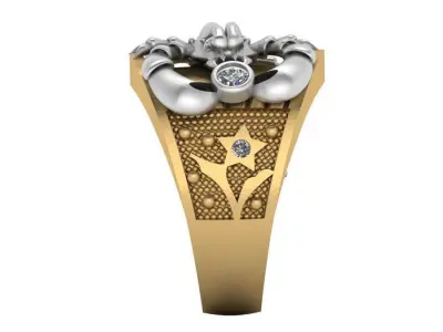 3d-model ring  3D print model