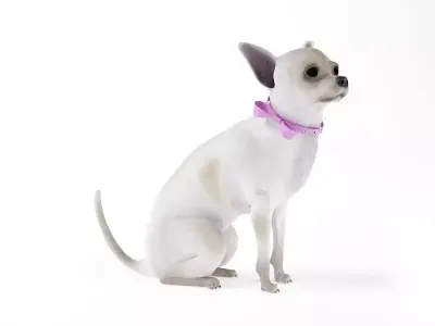 White Dog With A Pink Ribbon On Neck 3D model