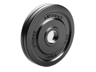 Realistic Gym Weight Plate 3D Model Low-poly 3D model