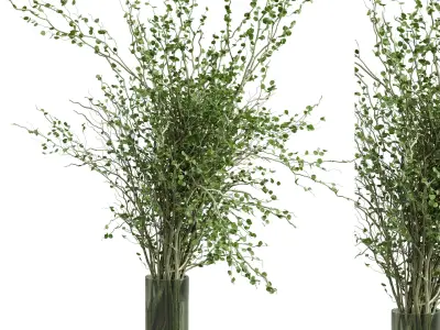 Branches plant with galss vase green - bouquet 40 Low-poly 3D model