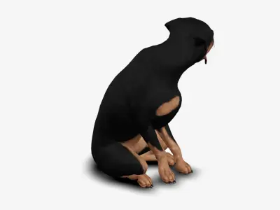 Dog Rottweiller Low-poly 3D model