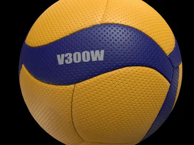 MikasaV300W 3D model